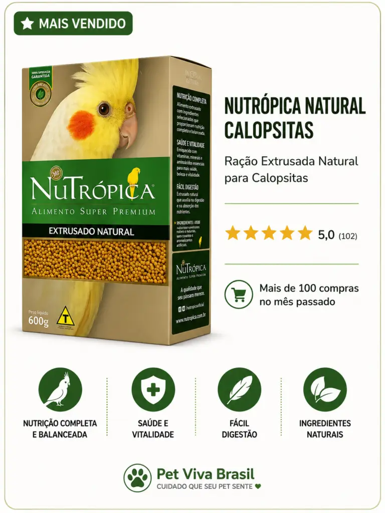 calopsita ra&ccedil;&atilde;o