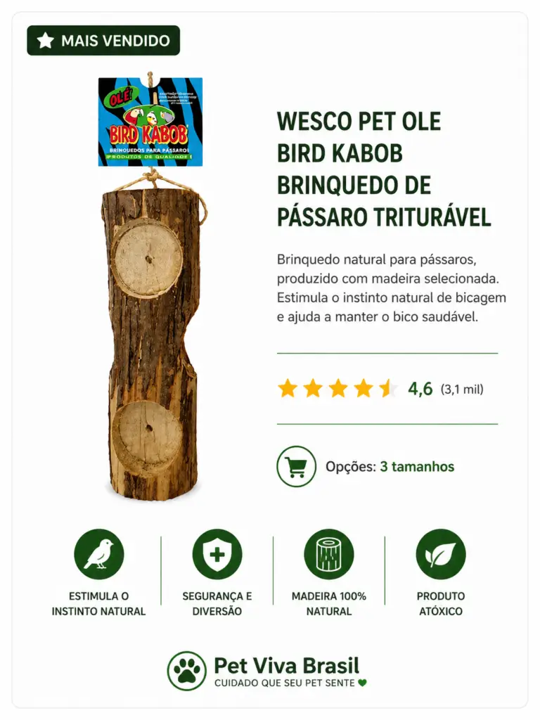 brinquedo