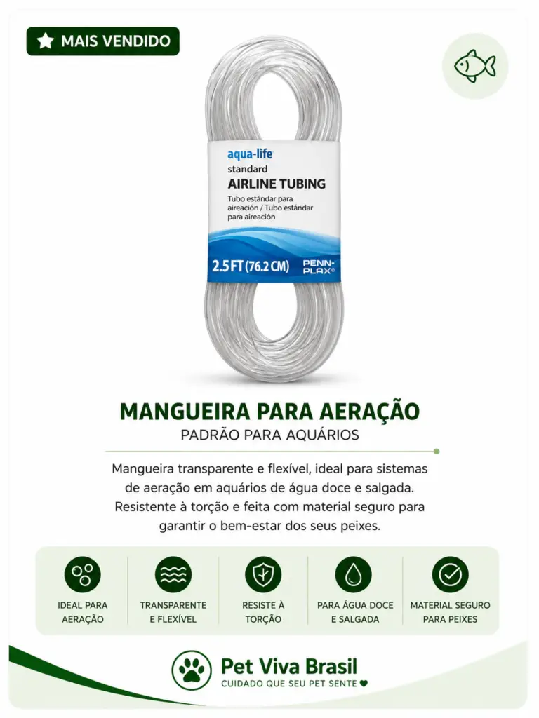mangueira
