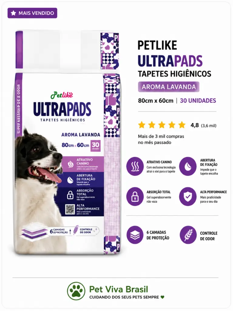 tapetes