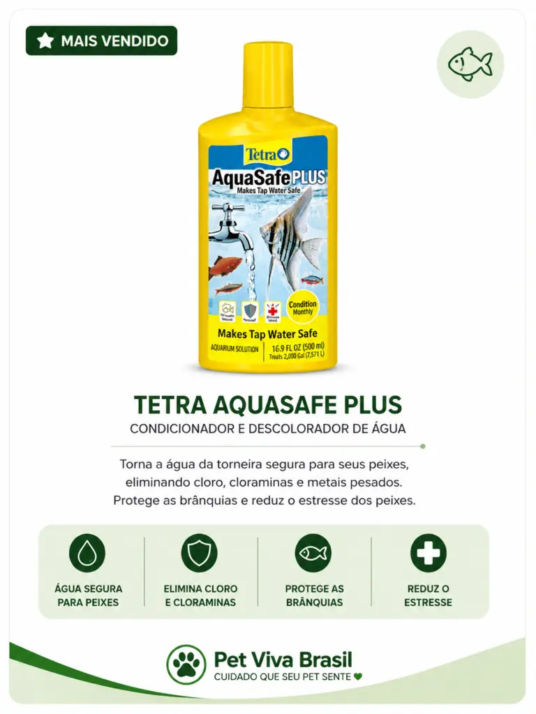 tetra