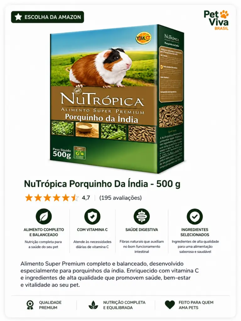 porquinho ração