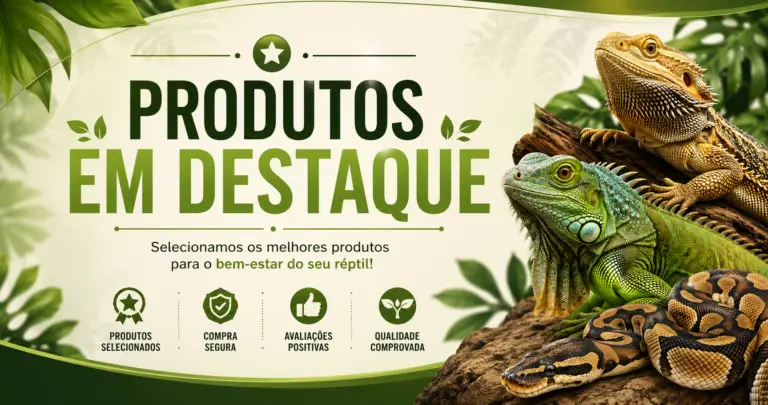 produtos destaque