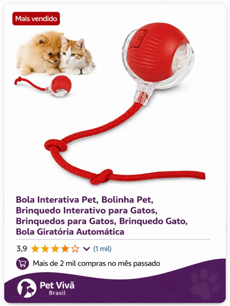 bolinha