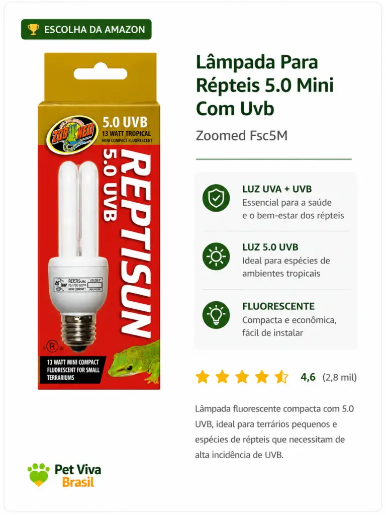 lampada