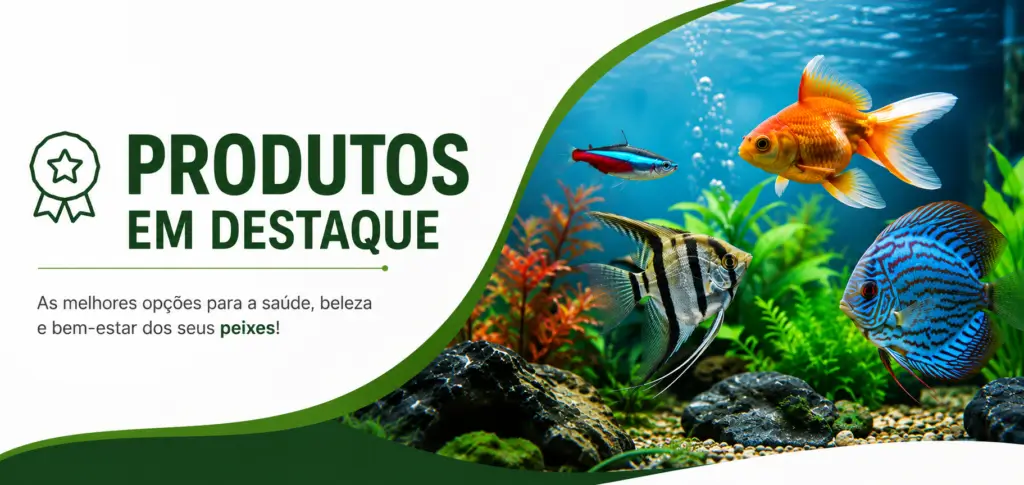 produtos destaque