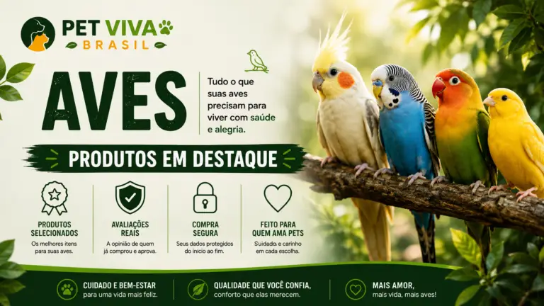 produtos em destaque 2