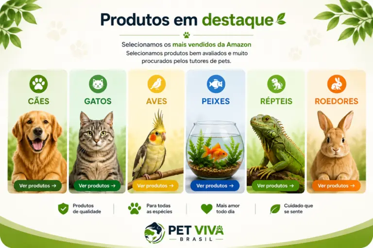 produtos em destaque home